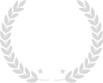 WebCastle industry award